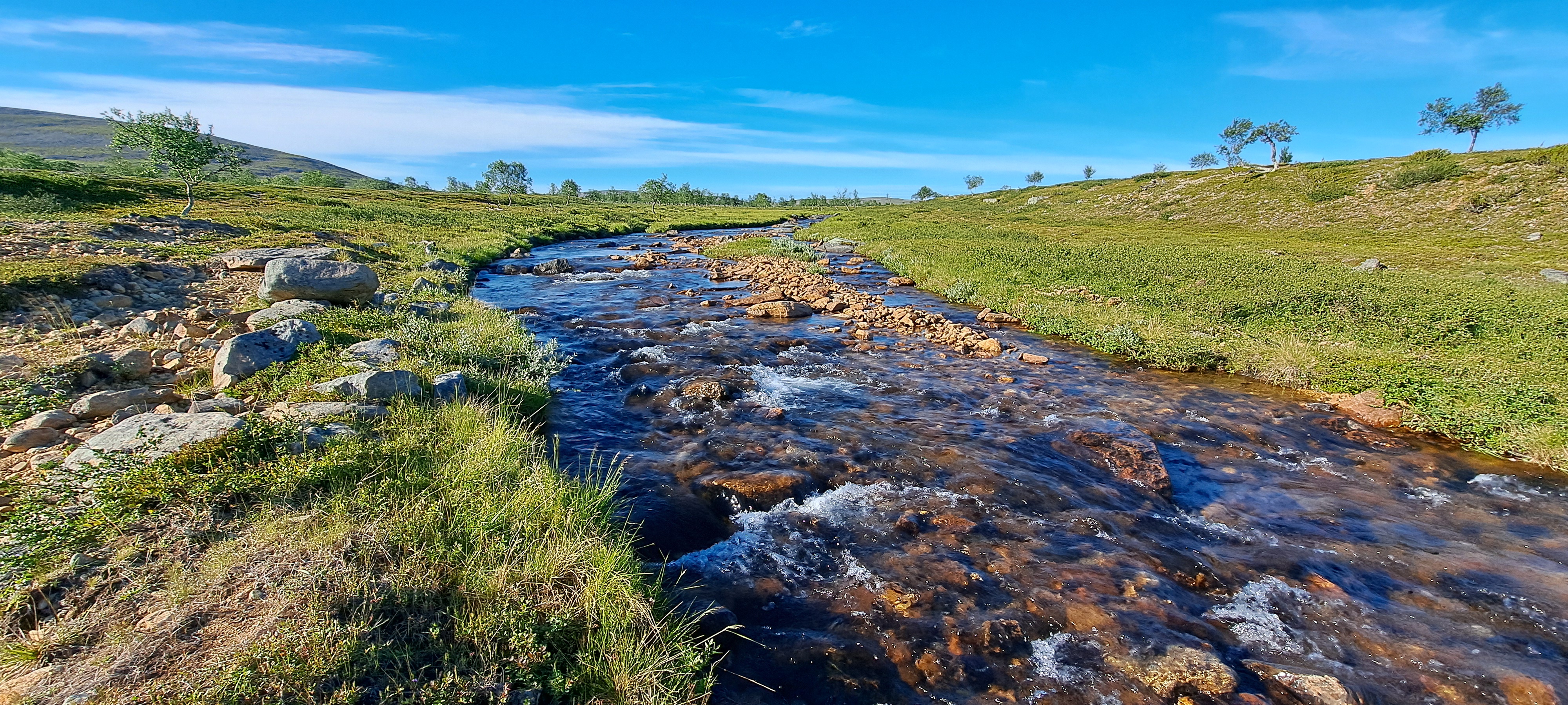 opastetut vaellukset. virtaava vesi tarjoaa puhdasta juotavaa.