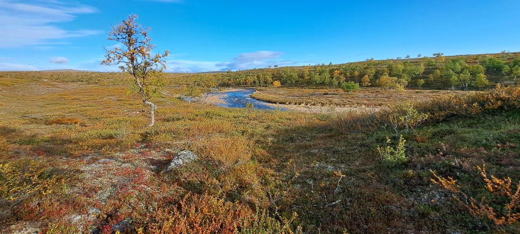 Opastetulla vaelluksella leiriydytään kuvankauniissa paikoissa.