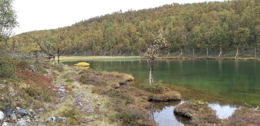 Ohjattu vaellus, suojaisia laaksoja tuntureiden välissä.