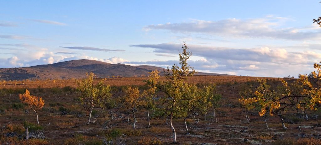 Opastetut vaellukset. Kuljemme avotunturissa.